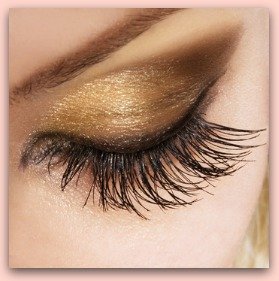 Best Eyeshadow